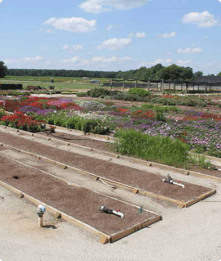 blog.opto22.comhubfscosta-farms_test-garden-perennials_2p5x3_300dpi